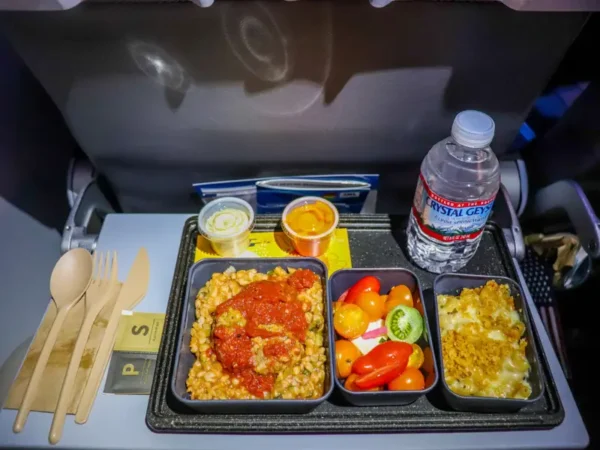 This is a picture of airplane food.