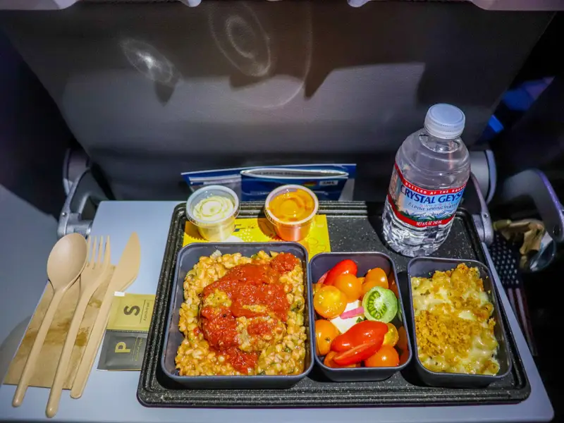 This is a picture of airplane food.